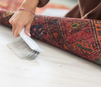 Vip07 Halı Koltuk Yıkama