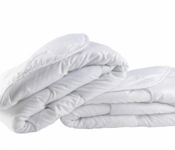 Vip07 Halı Koltuk Yıkama